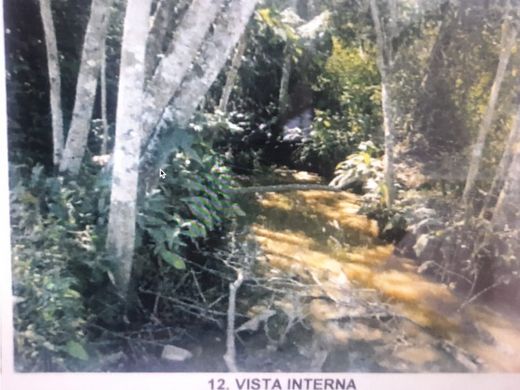 Puerto Lleras, Departamento del Metaのカントリー風またはファームハウス