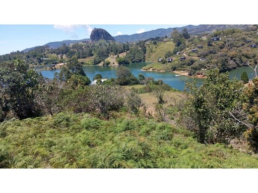 Boerderij in El Peñol, Yarumal