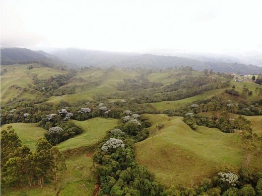 Farmhouse in Filandia, Quindío Department