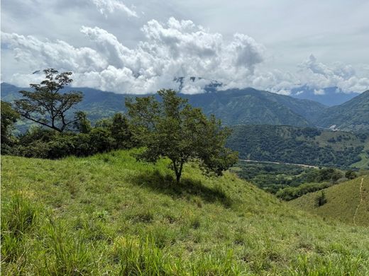 Terreno - Concordia, Departamento de Antioquia