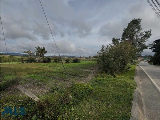 토지 / La Ceja, Departamento de Antioquia