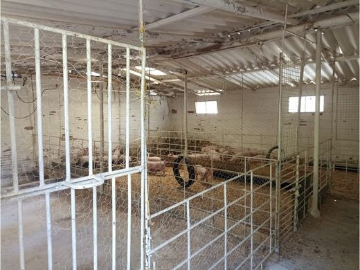 Ρουστίκ ή αγροικία σε Guarne, Departamento de Antioquia