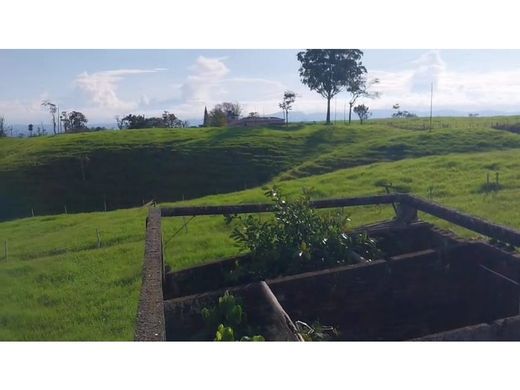 Rustik ya da çiftlik Armenia, Quindío Department