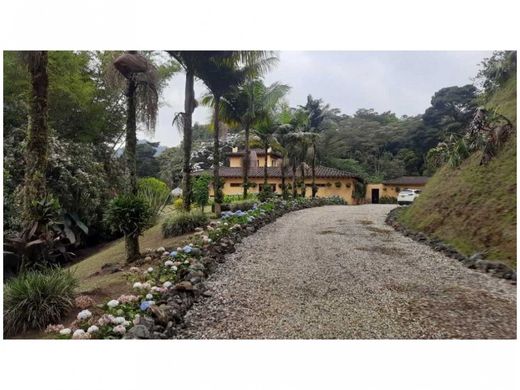 Ferme à Rionegro, Departamento de Antioquia