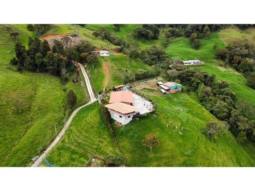 村舍/农舍  麦德林, Medellín