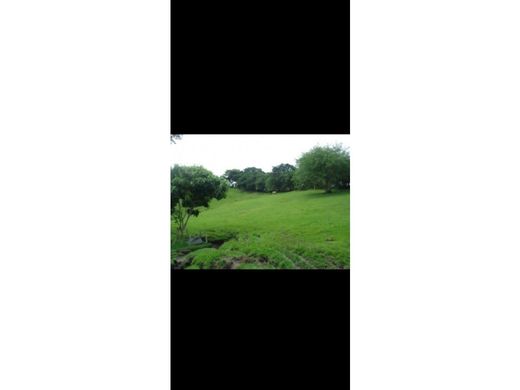 Farmhouse in Cartago, Departamento del Valle del Cauca