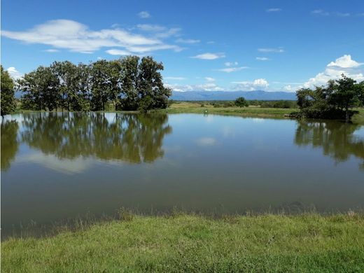 Ρουστίκ ή αγροικία σε Saldaña, Departamento de Tolima