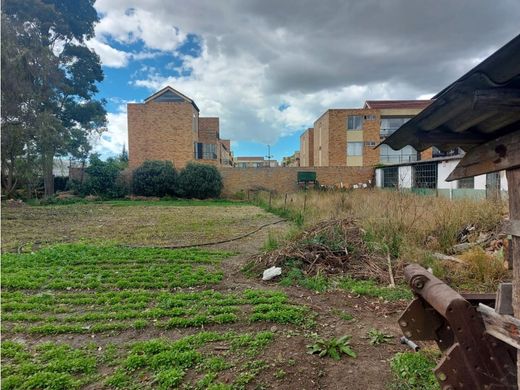 Arsa Mosquera, Departamento de Cundinamarca