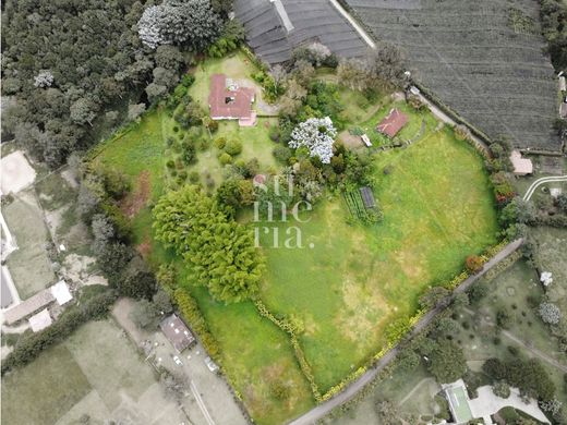 Αγροτεμάχιο σε Rionegro, Departamento de Antioquia