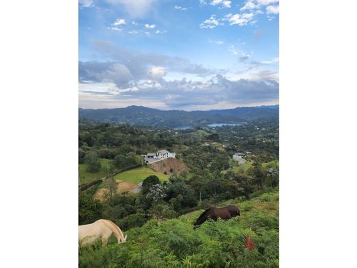 Teren w Retiro, Departamento de Antioquia