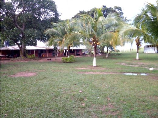 ﻣﻨﺰﻝ ﺭﻳﻔﻲ/ ﺑﻴﺖ ﻤﺰﺭﻋﺔ ﻓﻲ Puerto López, Departamento del Meta