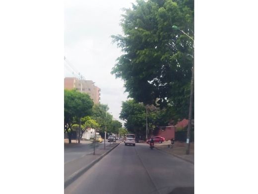 地皮  卡利, Cali