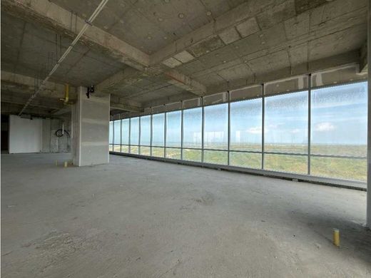 办公室  巴兰基亚, Barranquilla