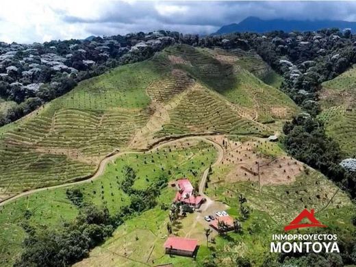Farmhouse in Pereira, Departamento de Risaralda