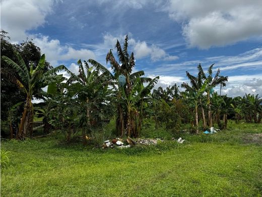 村舍/农舍  Armenia, Quindío Department