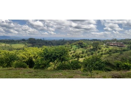 Rustik ya da çiftlik Quimbaya, Quindío Department