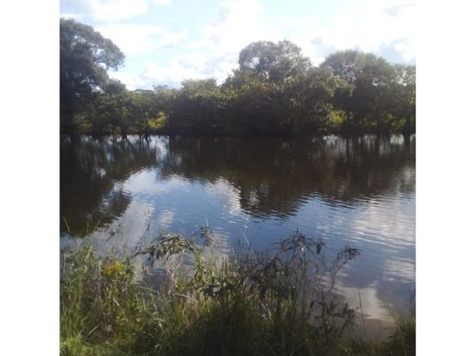 Farmhouse in Puerto López, Departamento del Meta