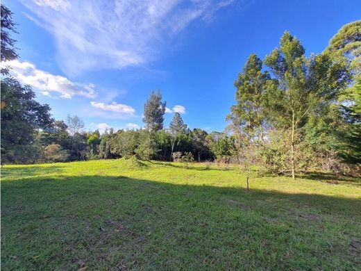 Teren w Rionegro, Departamento de Antioquia