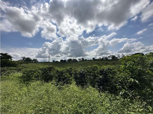 Terreno en Montenegro, Quindío Department