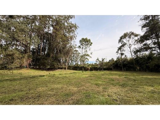 Terrain à Rionegro, Departamento de Antioquia