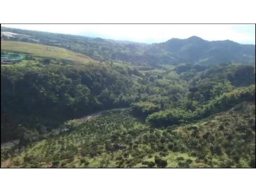 Terrain à Pereira, Departamento de Risaralda