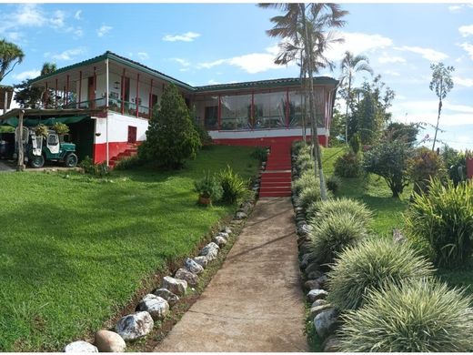 Gutshaus oder Landhaus in Sevilla, Departamento del Valle del Cauca
