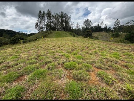 Участок, Медельин, Medellín