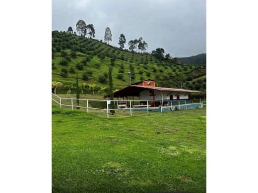 Boerderij in Pereira, Departamento de Risaralda