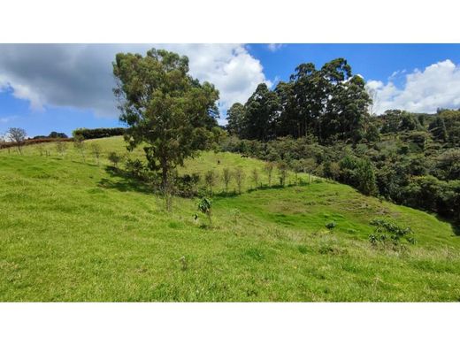 Grundstück in Medellín, Departamento de Antioquia