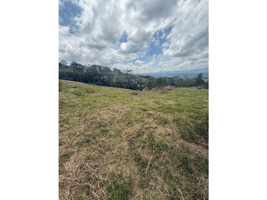 Αγροτεμάχιο σε Rionegro, Departamento de Antioquia