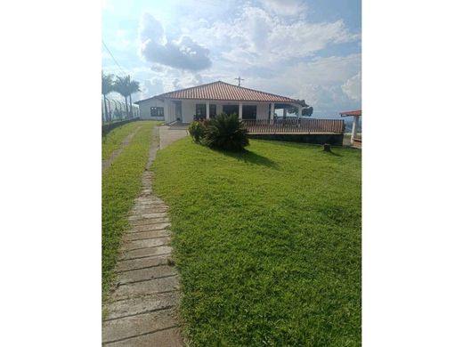 Ferme à Circasia, Quindío Department