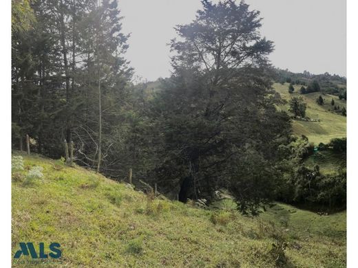 Terrain à Retiro, Departamento de Antioquia