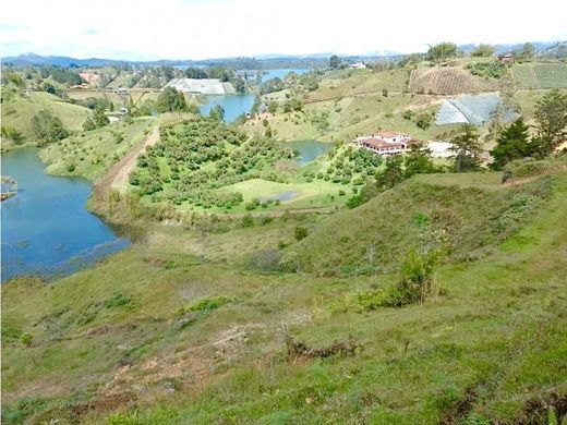 Arsa El Peñol, Yarumal