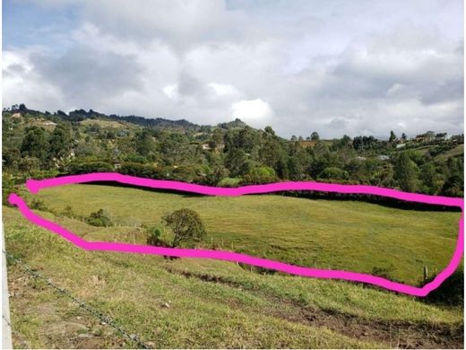 Arsa Rionegro, Departamento de Antioquia