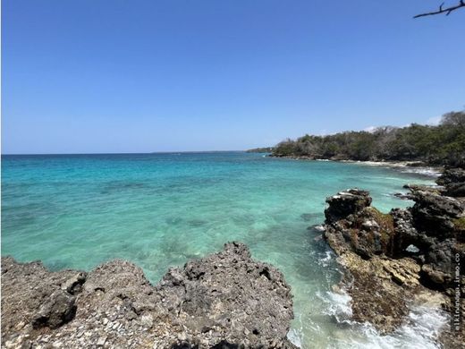 Land in Cartagena, Cartagena de Indias
