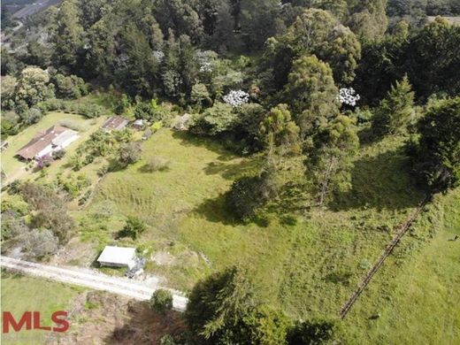 Terreno - Rionegro, Departamento de Antioquia