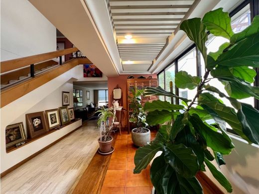 阁楼  麦德林, Medellín