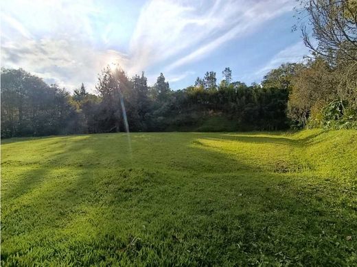 Land in Rionegro, Departamento de Antioquia