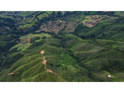 Rustykalny lub Wiejski w La Unión, Departamento de Antioquia