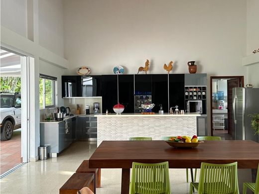 ﻣﻨﺰﻝ ﺭﻳﻔﻲ/ ﺑﻴﺖ ﻤﺰﺭﻋﺔ ﻓﻲ Támesis, Departamento de Antioquia