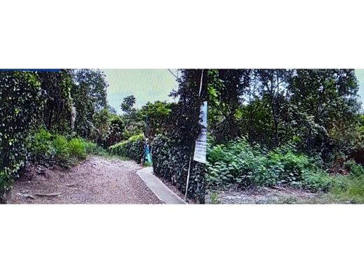 Landsitz in Ricaurte, Departamento de Cundinamarca