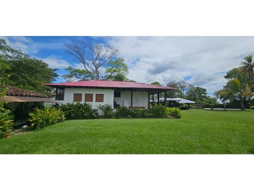 Arsa Armenia, Quindío Department