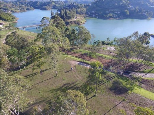 Terrain à El Peñol, Yarumal