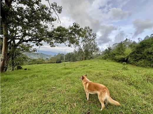 Terreno a Retiro, Departamento de Antioquia