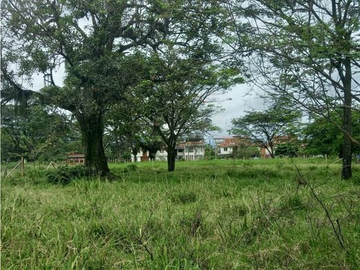 Jamundí, Departamento del Valle del Caucaの土地