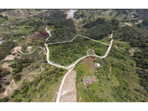 토지 / Guatapé, Departamento de Antioquia