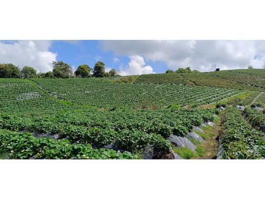 Rustykalny lub Wiejski w La Unión, Departamento de Antioquia