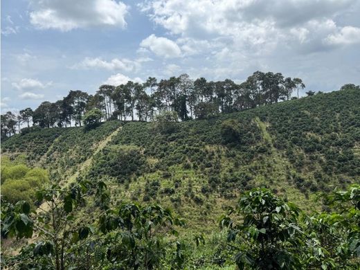 Rustik ya da çiftlik Alcalá, Departamento del Valle del Cauca