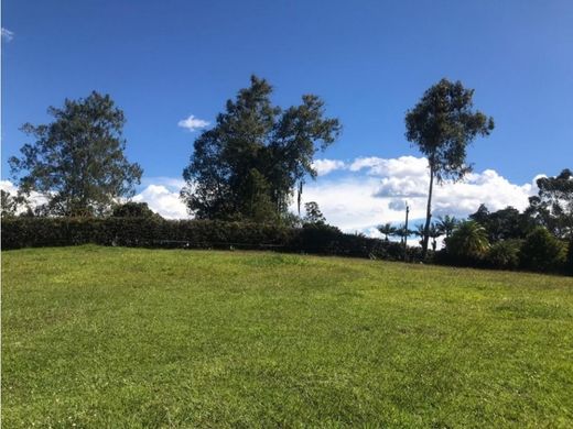 Grond in Rionegro, Departamento de Antioquia