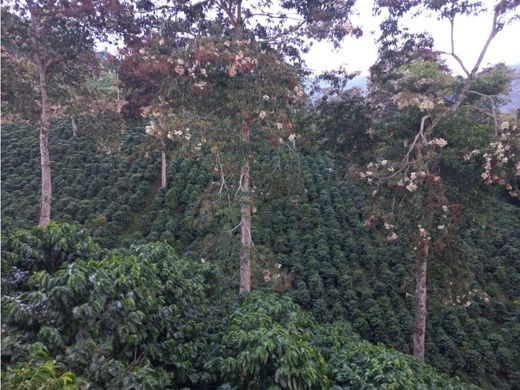 Rustik ya da çiftlik Caicedonia, Departamento del Valle del Cauca